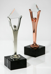 Silver & Bronze Stevie Awards